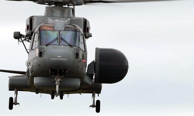 Ein Krähennest für die Königin