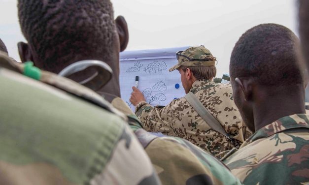 Kampfschwimmer in der afrikanischen Wüste