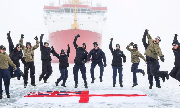 Sommerbesuch bei den Eisbären