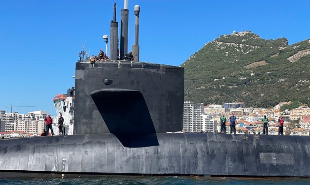 Seltener Besuch am Affenfelsen