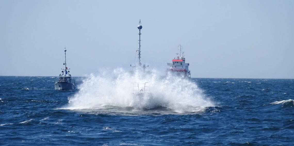 Verbandsfahrt mit Seehunden
