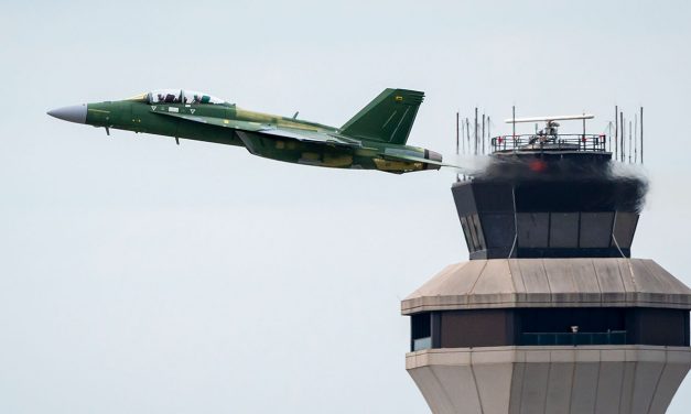 Die Hornisse sticht wieder