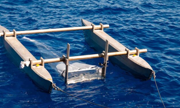 Weihnachten und Neujahr auf Plastikjagd