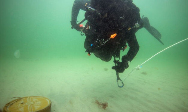 Verbundene Seeminenabwehr