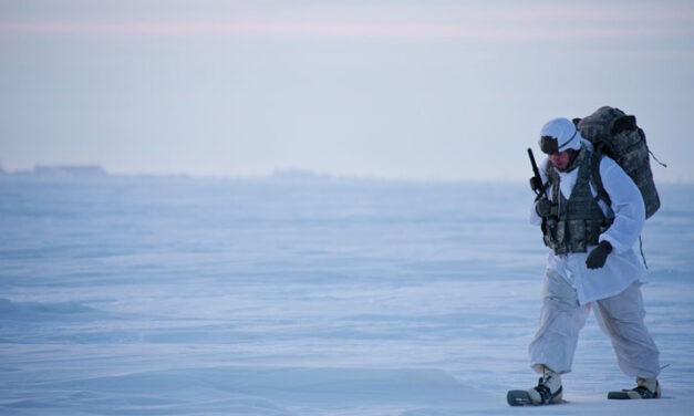 Zwischen Desinteresse und neuem Great Game