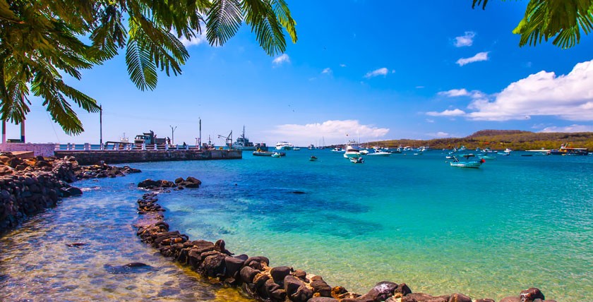 Galapagos Islands, Ecuador