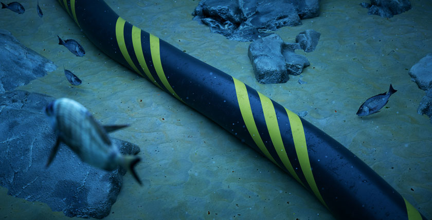 Unterseekabel am Meeresboden mit Fischen und Felsen.