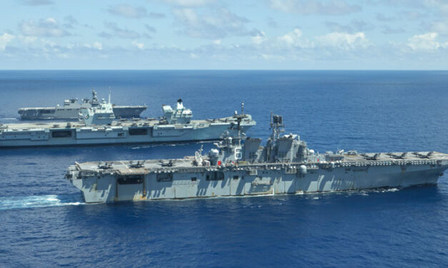 Drachenzähmen für Einsteiger