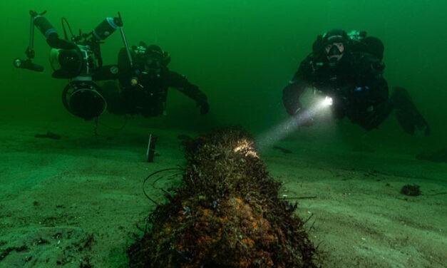 Wenn das Bernsteinzimmer lockt