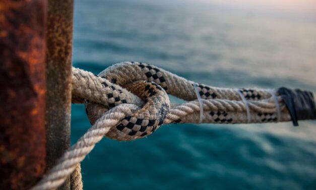 DNV und Partner laden zum Weltschifffahrtstag ein