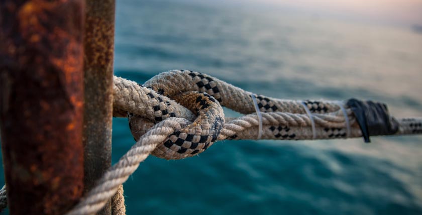 DNV und Partner laden zum Weltschifffahrtstag ein