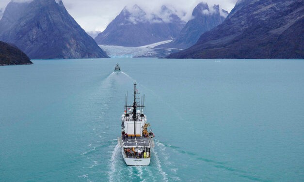 For flexibility and speed