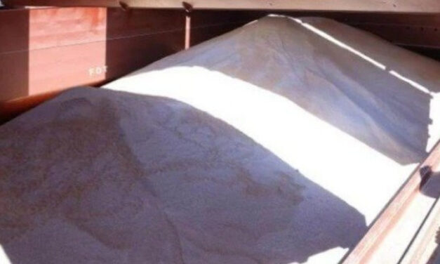 Kanada hilft der Ukraine mit Frachtschiffen