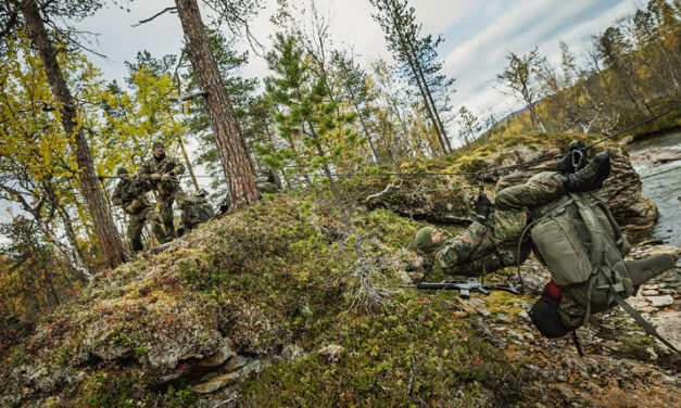 A new future for the sea battalion?