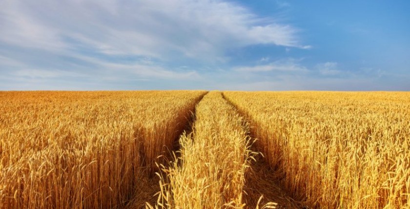 Russland fordert Verzicht auf Sanktionen