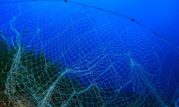 Fischereifahrzeuge sind für die Hälfte der Plastikverschmutzung der Meere verantwortlich