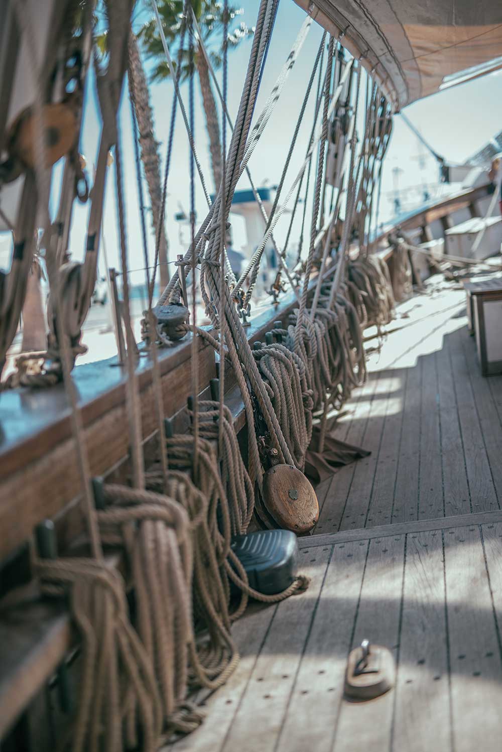 Foto: Unsplash, Alberto Gasco