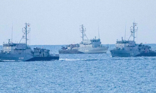 Deutsche Marine und Artenschutz: Gedämpfte Sprengungen unter Wasser