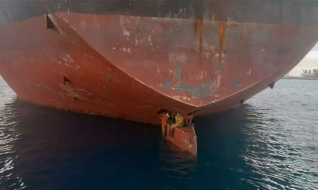 Drei Blinde Passagiere auf dem Ruderblatt