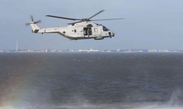 Premiere: Sea Lion in See