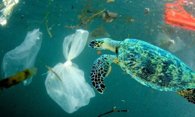 Plastik im Indik - Atolle ersticken im Müll!