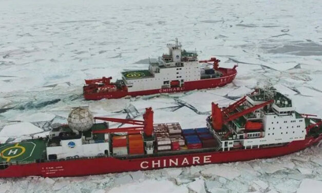 Satellitenfotos: China auf dem Vormarsch in der Antarktis