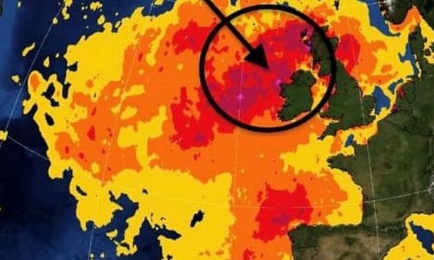 Hitzewelle heizt Nordsee auf