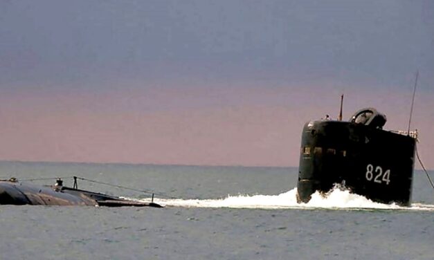 Die Schildkrötenflotte