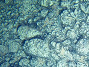 Rohstoffe am Meeresgrund, Foto: UN/ISA