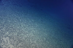 Am glatten Meeresbodenlassen sich die Knollen relativ leicht einsammeln, Foto: UN/ISA