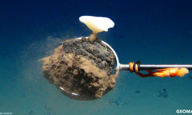 Tiefseebergbau, Rohstoffsicherung und grüne Wirtschaft