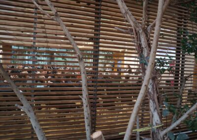 MC 2023 - der Blick von außen. Foto: K.H. Brüdegam