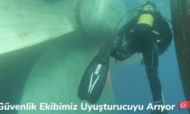 Türkei: Kokainfund bei Massengutfrachter