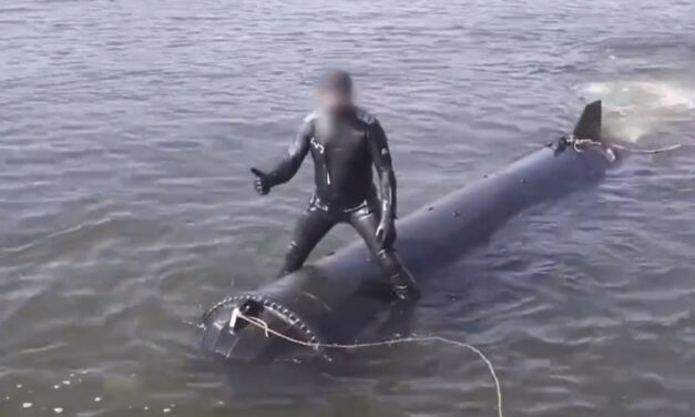 Ukraine: Durchschlagskraft mit neuen Tauch-Drohnen