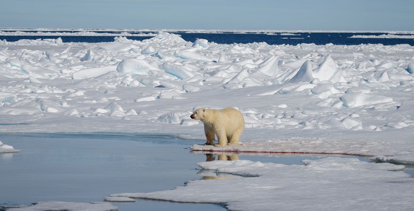 Wenn Inselstaaten im Meer versinken