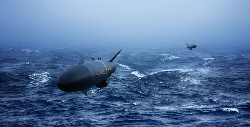 Der schwedische RBS 15 Mk IV Gungnir dient dem Angriff auf See- und Landziele, Grafik: Saab