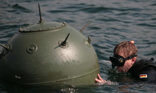 Türkei: Schwarzmeer-Marinen vereinbaren Minenräumung