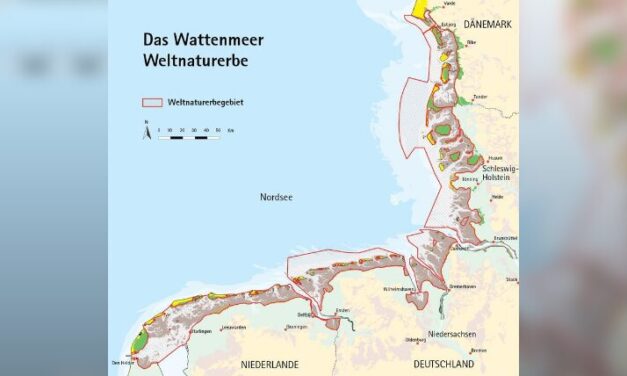 BUND fordert mehr Schutz für Weltnaturerbe Wattenmeer