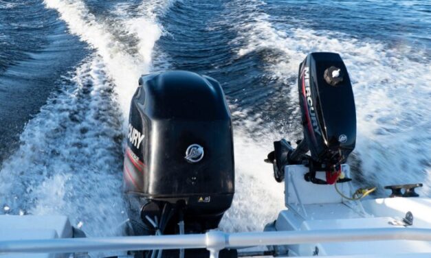 Mercury Marine und der DMYV schließen Partnerschaft