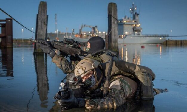 Die deutschen "Seals" werden 60