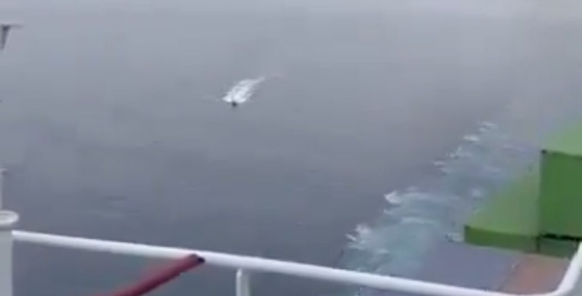 Houthi drone attack in the Red Sea. Source: X, Open Source Intel