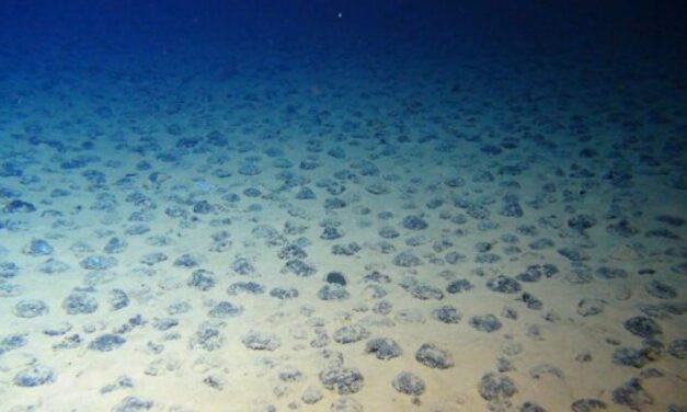 Oslo: Neue Datenbank für Meeresbodenmineralien