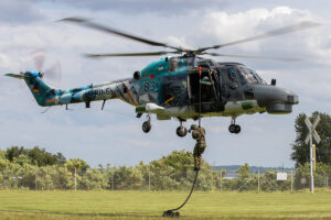 Sea Lynx in Sonderlackierung für das Tiger Meet, Foto: Bw/Cora Mohrdieck