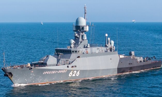 Mit Moskitos gegen den Bären