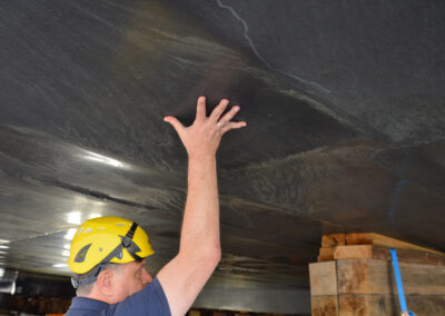 Pluder zeigt die Elefantenhaut mit Beulen, Foto: Phillipp Steiner