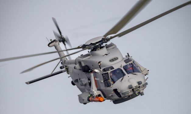 Der Tiger kommt voran