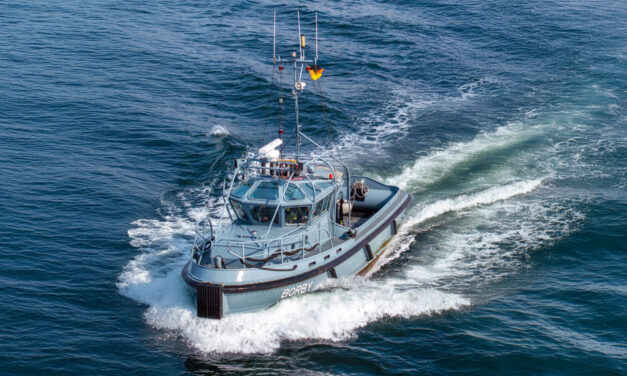 Ein Herz für Dergls