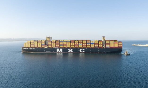 Schweiz mit MSC grösste Containerschiff-Nation