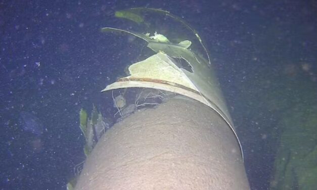 Kabel, Anker, Zufälle