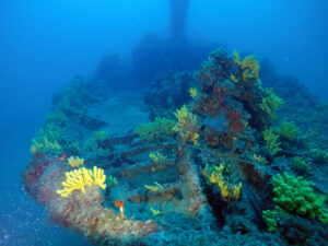 Blick auf das Heck mit deformiertem Vierlings-Flakgeschütz, Foto: Archiv Nehring
